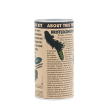 Load image into Gallery viewer, Ancient Bristlecone Pine | Seed Grow Kit | The Jonsteen Company