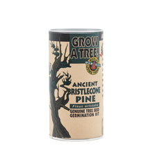 Load image into Gallery viewer, Ancient Bristlecone Pine | Seed Grow Kit | The Jonsteen Company