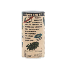 Load image into Gallery viewer, Ancient Bristlecone Pine | Seed Grow Kit | The Jonsteen Company