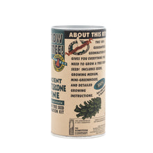 Load image into Gallery viewer, Ancient Bristlecone Pine | Seed Grow Kit | The Jonsteen Company
