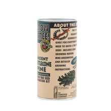 Load image into Gallery viewer, Ancient Bristlecone Pine | Seed Grow Kit | The Jonsteen Company