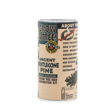 Load image into Gallery viewer, Ancient Bristlecone Pine | Seed Grow Kit | The Jonsteen Company