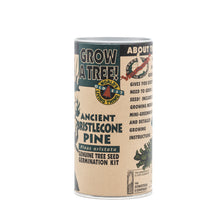 Load image into Gallery viewer, Ancient Bristlecone Pine | Seed Grow Kit | The Jonsteen Company