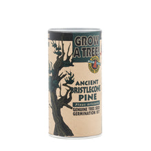 Load image into Gallery viewer, Ancient Bristlecone Pine | Seed Grow Kit | The Jonsteen Company