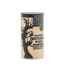 Load image into Gallery viewer, Ancient Bristlecone Pine | Seed Grow Kit | The Jonsteen Company