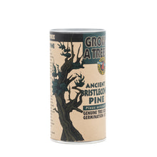 Load image into Gallery viewer, Ancient Bristlecone Pine | Seed Grow Kit | The Jonsteen Company