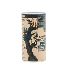 Load image into Gallery viewer, Ancient Bristlecone Pine | Seed Grow Kit | The Jonsteen Company