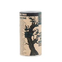 Load image into Gallery viewer, Ancient Bristlecone Pine | Seed Grow Kit | The Jonsteen Company