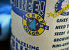 Blue Spruce | Seed Grow Kit