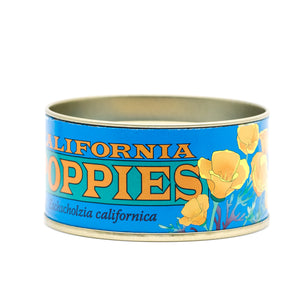 California Poppy | Flower Seed Grow Kit | The Jonsteen Company