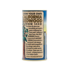 Load image into Gallery viewer, California Redwood | Coast Redwood | Seed Grow Kit | The Jonsteen Company