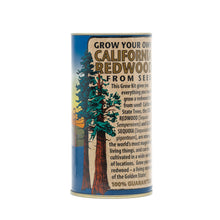 Load image into Gallery viewer, California Redwood | Coast Redwood | Seed Grow Kit | The Jonsteen Company