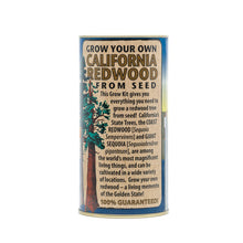 Load image into Gallery viewer, California Redwood | Coast Redwood | Seed Grow Kit | The Jonsteen Company
