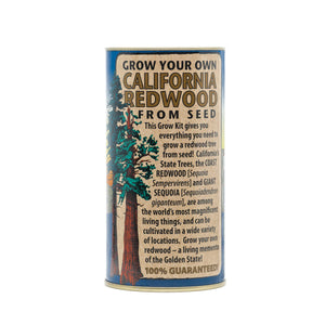 California Redwood | Giant Sequoia | Seed Grow Kit | The Jonsteen Company