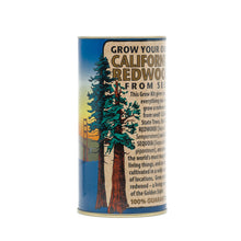 Load image into Gallery viewer, California Redwood | Coast Redwood | Seed Grow Kit | The Jonsteen Company