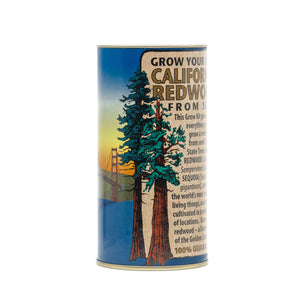 California Redwood | Coast Redwood | Seed Grow Kit | The Jonsteen Company