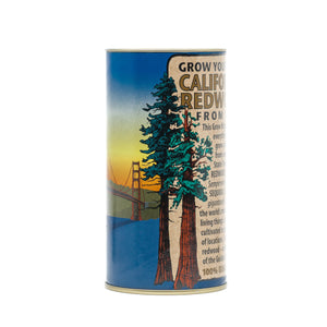 California Redwood | Coast Redwood | Seed Grow Kit | The Jonsteen Company
