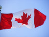Canada Red Maple | Seed Grow Kit | The Jonsteen Company