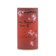 Load image into Gallery viewer, Japanese Flowering Cherry Blossom | Seed Grow Kit | The Jonsteen Company