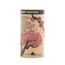 Load image into Gallery viewer, Flowering Cherry Blossom | Parks Collection | Seed Grow Kit | The Jonsteen Company