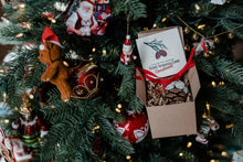 Load image into Gallery viewer, Old Growth Giant Sequoia Cone Ornament | The Jonsteen Company