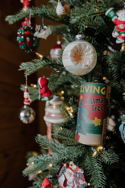 Christmas Tree | Seed Grow Kit | The Jonsteen Company