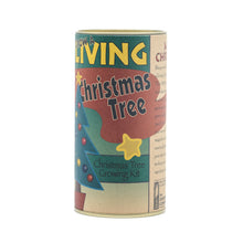 Load image into Gallery viewer, Christmas Tree | Seed Grow Kit | The Jonsteen Company