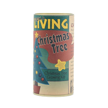 Load image into Gallery viewer, Christmas Tree | Seed Grow Kit | The Jonsteen Company
