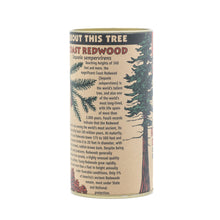 Load image into Gallery viewer, Coast Redwood | Seed Grow Kit | The Jonsteen Company