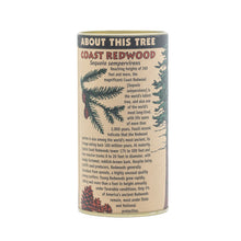 Load image into Gallery viewer, Coast Redwood | Seed Grow Kit | The Jonsteen Company