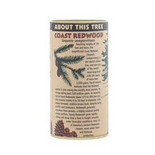 Load image into Gallery viewer, Coast Redwood | Seed Grow Kit | The Jonsteen Company
