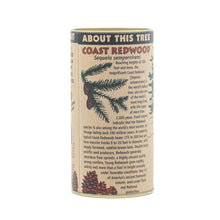 Load image into Gallery viewer, Coast Redwood | Seed Grow Kit | The Jonsteen Company