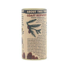 Load image into Gallery viewer, Coast Redwood | Seed Grow Kit | The Jonsteen Company