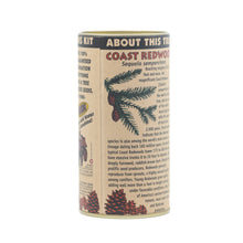 Load image into Gallery viewer, Coast Redwood | Seed Grow Kit | The Jonsteen Company