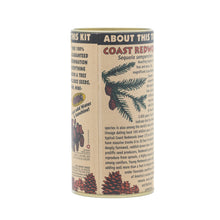Load image into Gallery viewer, Coast Redwood | Seed Grow Kit | The Jonsteen Company
