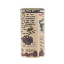 Load image into Gallery viewer, Coast Redwood | Seed Grow Kit | The Jonsteen Company
