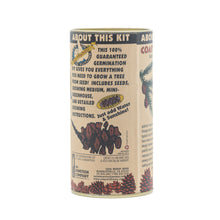 Load image into Gallery viewer, Coast Redwood | Seed Grow Kit | The Jonsteen Company