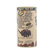 Load image into Gallery viewer, Coast Redwood | Seed Grow Kit | The Jonsteen Company
