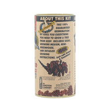 Load image into Gallery viewer, Coast Redwood | Seed Grow Kit | The Jonsteen Company