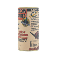 Load image into Gallery viewer, Coast Redwood | Seed Grow Kit | The Jonsteen Company