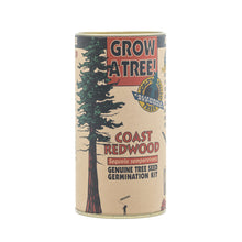 Load image into Gallery viewer, Coast Redwood | Seed Grow Kit | The Jonsteen Company