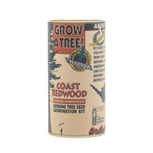 Load image into Gallery viewer, Coast Redwood | Seed Grow Kit | The Jonsteen Company