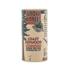 Load image into Gallery viewer, Coast Redwood | Seed Grow Kit | The Jonsteen Company