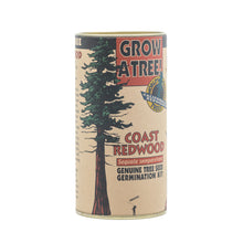 Load image into Gallery viewer, Coast Redwood | Seed Grow Kit | The Jonsteen Company