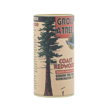 Load image into Gallery viewer, Coast Redwood | Seed Grow Kit | The Jonsteen Company