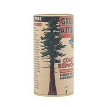 Load image into Gallery viewer, Coast Redwood | Seed Grow Kit | The Jonsteen Company