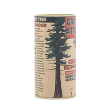 Load image into Gallery viewer, Coast Redwood | Seed Grow Kit | The Jonsteen Company