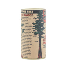 Load image into Gallery viewer, Coast Redwood | Seed Grow Kit | The Jonsteen Company