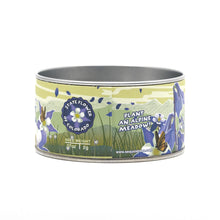 Load image into Gallery viewer, Rocky Mountain Columbine | Flower Seed Grow Kit | The Jonsteen Company