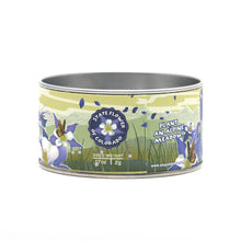 Load image into Gallery viewer, Rocky Mountain Columbine | Flower Seed Grow Kit | The Jonsteen Company